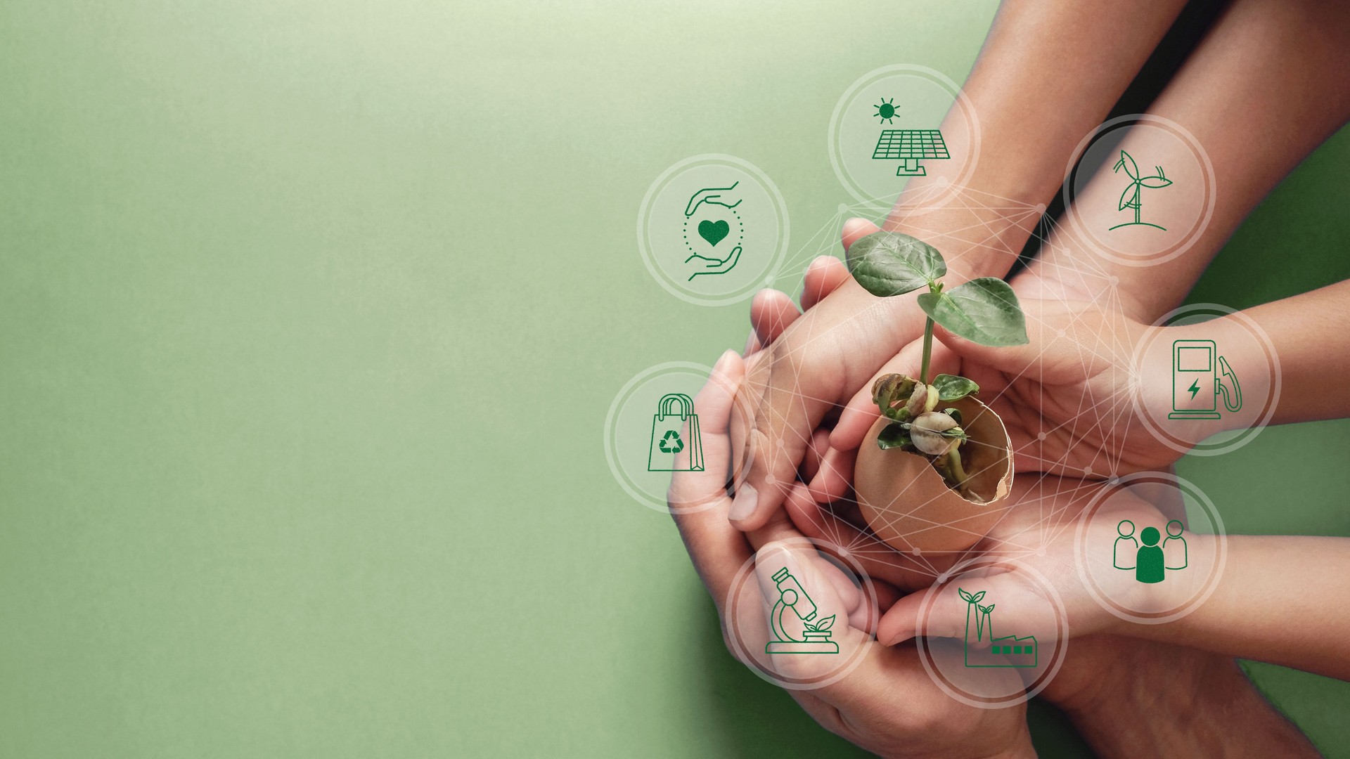 Hands holding seedling in eggshell with circular economy icons, CSR social responsibility, eco green sustainable living concept